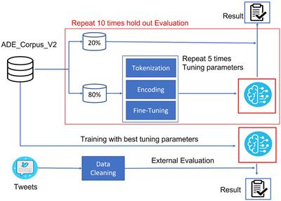 BERT-based language model for accurate drug adverse event extraction from social media: implementation, evaluation, and contributions to pharmacovigilance practices